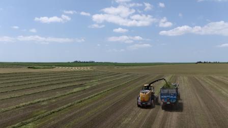 Pro Agro Innovación 2026 reúne a compradores de ocho países en Mérida: IDMX