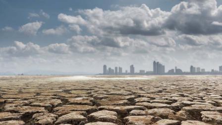 Nueva película "Digger" aborda crisis climática mediante humor negro e ironía: Lorena Rivera