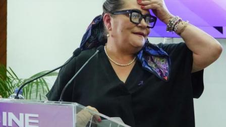 Consejero del INE,Guadalupe Taddei