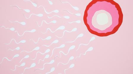 Tratamientos de fertilidad en Tijuana cuestan 60% menos que en EU: Nicolás Guerrero