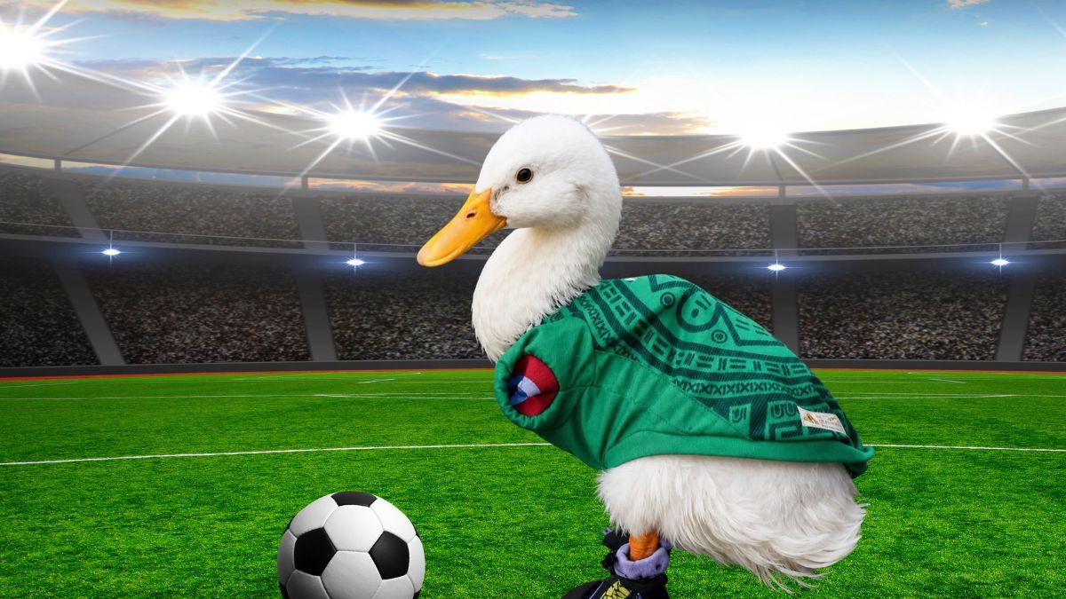 ¿Quién es Merlín, el pato viral que conquistó el Mundial?