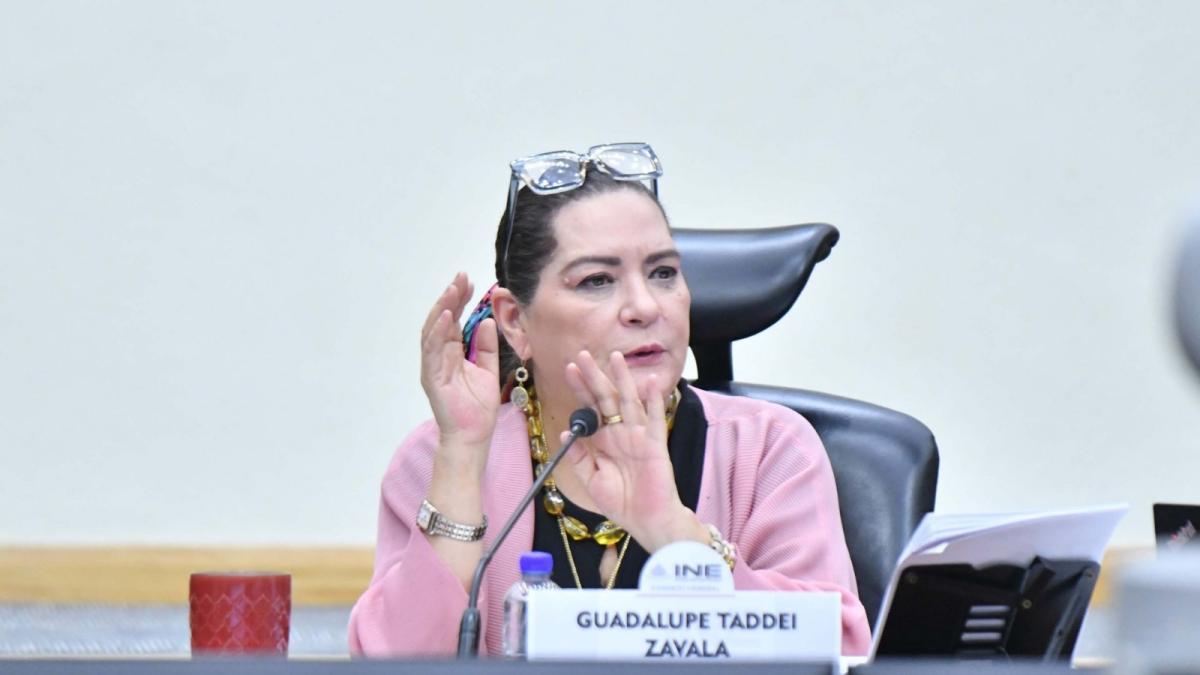 Ugalde: renuncia de Taddei no debe cerrar investigaciones